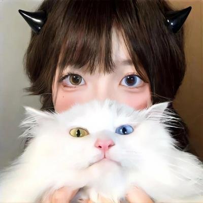 集中营碧血花